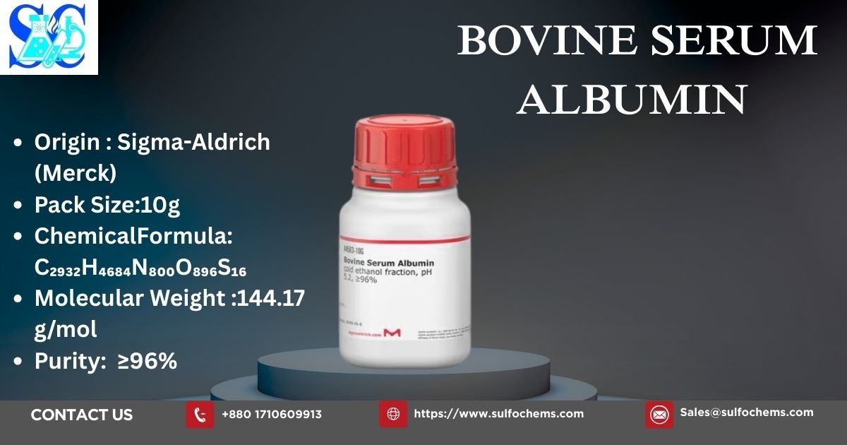 Bovine Serum Albumin